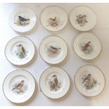 A set of 9 small cabinet plates by Royal Worcester, with an Ornithological theme, signed  by W