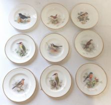 A set of 9 small cabinet plates by Royal Worcester, with an Ornithological theme, signed  by W