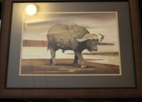 Sue Chatterton Water Buffalo, Botswana, signed lower left, watercolour, 32.5cm x 38cm
