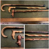 A collection of three walking sticks, one stalk stem walking stick and two carved decorative