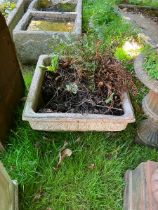 One square and one rectangular cast cement planters