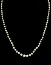 Single graduated row of white cultured pearls from 3.5 - 7mm, individually knotted with length of