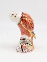 A Royal Crown Derby Red Kite paperweight, gold stopper, red backstamp, date code for 2007 (1)