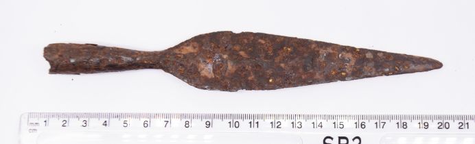 Anglo-Saxon Spear Head.  Circa, 6th century AD. Iron, 192mm.61.47g. An Anglo Saxon leaf-shaped