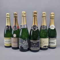 6 Bottles of NV Champagnes selected for Supermarkets including Etienne Leclair NV Champagne (