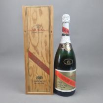 Magnum Mumm 1988 Cordon Rouge Vintage Champagne (Please note signs of leaking and low fill)