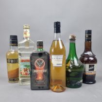 6 Bottles Spirits to include Calvados, Benedictine (missing label), Caracao (6 Bottles Total)