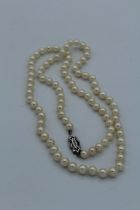 Strand of off white 6mm cultured pearls, approximate length 64cm with a hallmarked 9ct gold clasp