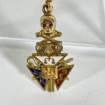 A gold and enamel 100F Odd Fellows pendant on a 9ct yellow gold approximately 44cm chain, total
