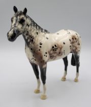 A single Beswick Appaloosa horse, approx. 19.5cm high.  Condition: Minor nibble to front right foot,