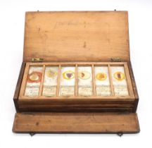 A collection of late 19th Century microscope slides in a pine box containing sample from the Glasgow