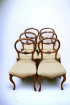 A set of six walnut Victorian balloon back dining chairs with padded seats.