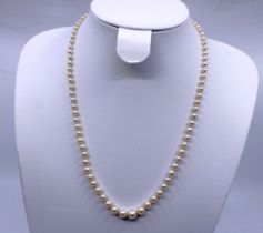 Graduated Cultured Pearl Necklace with 9ct Gold Clasp with Garnet Decoration.  The Pearls measure