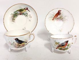 A group of matched Ornithological themed Royal Worcester cups and saucers. A Red start cup and a