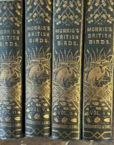 Morris books on birds 4 volumes good order