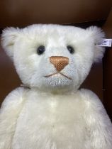 Steiff Vintage Boxed Large white  1908 Replica teddy bear Muzzle teddy bear 60 cm tall , box with