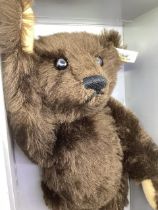 Steiff Vintage Boxed Muzzle Teddy bear, in Dark brown , a 1908 replica  made in 1991  reference