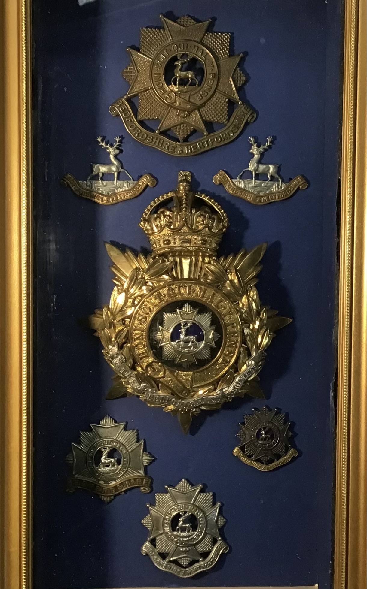 Rare framed Bedfordshire Regiment and Bedfordshire & Hertfordshire