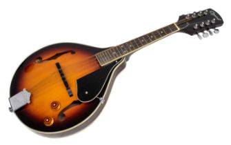 An Ozark 2077 electro acoustic mandolin with fitted hard case and accessories.