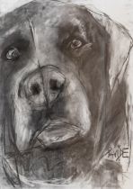 ***Proceeds from the sale to The Dog's Trust*** A contemporary charcoal drawing of a labrador by