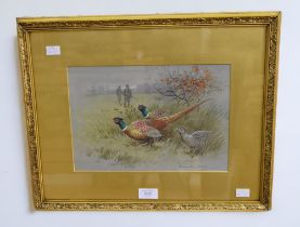 A watercolour by John Alexander Harrington Bird of pheasant hunting, signed bottom right, 30cm x
