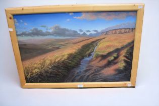 Derbyshire interest: D.W. Pass (late 20th/early 21st century) - a framed oil on board of Stanage