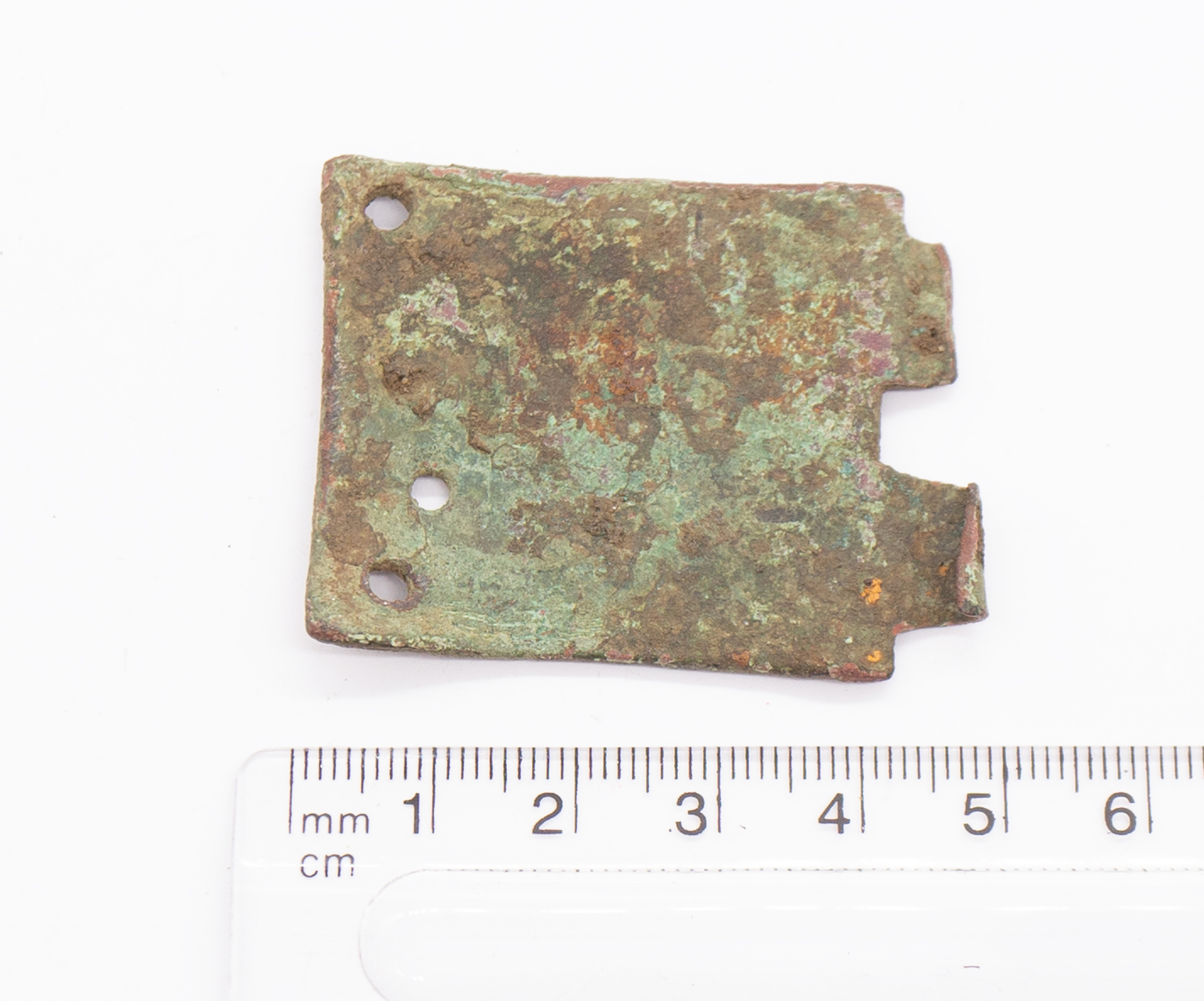 Large incomplete rectangular copper alloy buckle plate. Image is of a lion passant regardant and the - Image 5 of 7