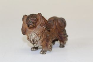 A cold painted bronze Pekingese dog, standing four square with head turned to the left. 6.5 x 9cm