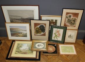 A collection of prints, including a 19th century lithograph of a Bedouin camp, dog portraits after M