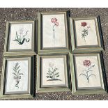 A set of six 19th cent Botanical framed prints