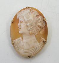 A 9ct. gold mounted cameo brooch, carved with a profile bust of a lady, height 36mm. (gross weight