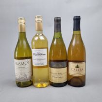 4 Bottles World White to include: The Parcel Series – Semillon Sauvignon Blanc – Margaret River –