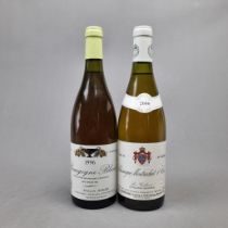 2 Mixed French White to include: Chassagne Montrachet – 1er Cru – 2000 Duperrier-Adam and