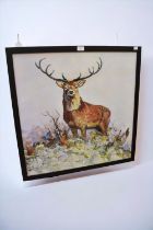 A large square embellished print of a Stag, by John Taylor (Modern, British), a Majestic Study,