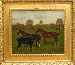 Albert Edward D.G. Stirling-Brown (1896-1929) Three horses with trees beyond oil on canvas,