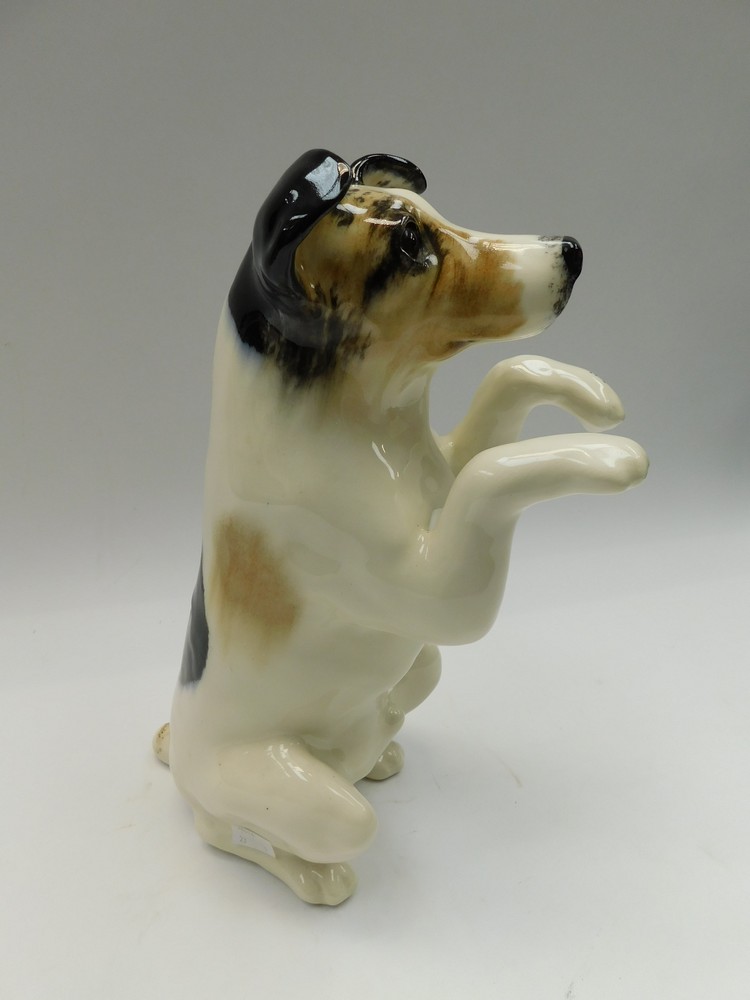 Winstanley - a 20th century ceramic model of a Jack Russell begging, glass eyes, signed to base - Image 4 of 4