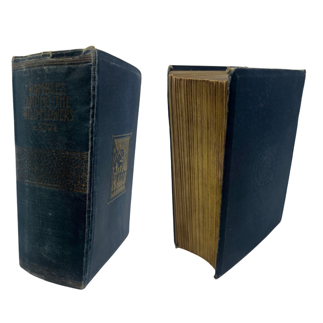 A collection of mixed interest antique books to include a cloth-bound 1898 first edition of 'Rambles - Image 2 of 4