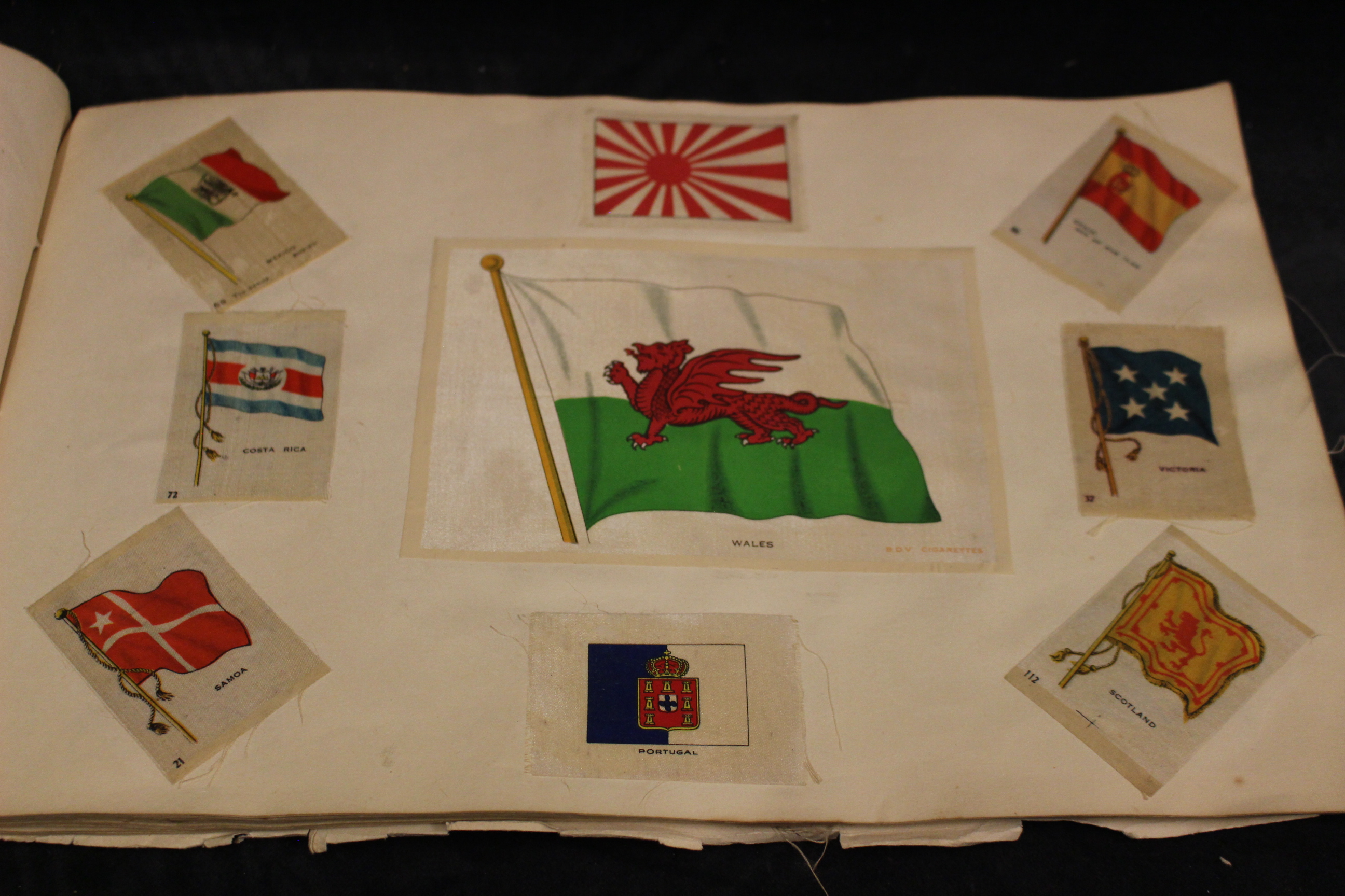 An album containing a number of silk cards for Regiments, Butterflies, Battleships, Countries etc - Image 5 of 6