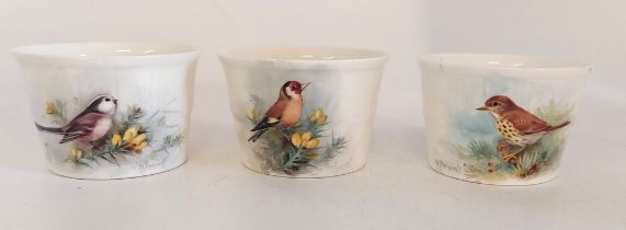 3 Royal Worcester Ornithological themed barrels, all signed W Powell, various date codes A long