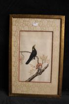 A 19th century Qing Dynasty Watercolour and Gouache painting on pith paper of a Mynah bird resting