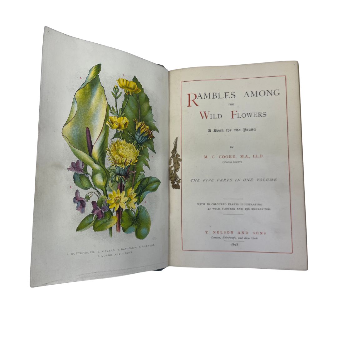 A collection of mixed interest antique books to include a cloth-bound 1898 first edition of 'Rambles - Image 3 of 4