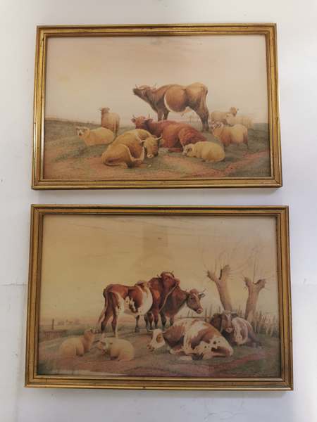 A pair of watercolours by Frederick E Valter, 1917. Depicting cattle and sheep in a field. Each