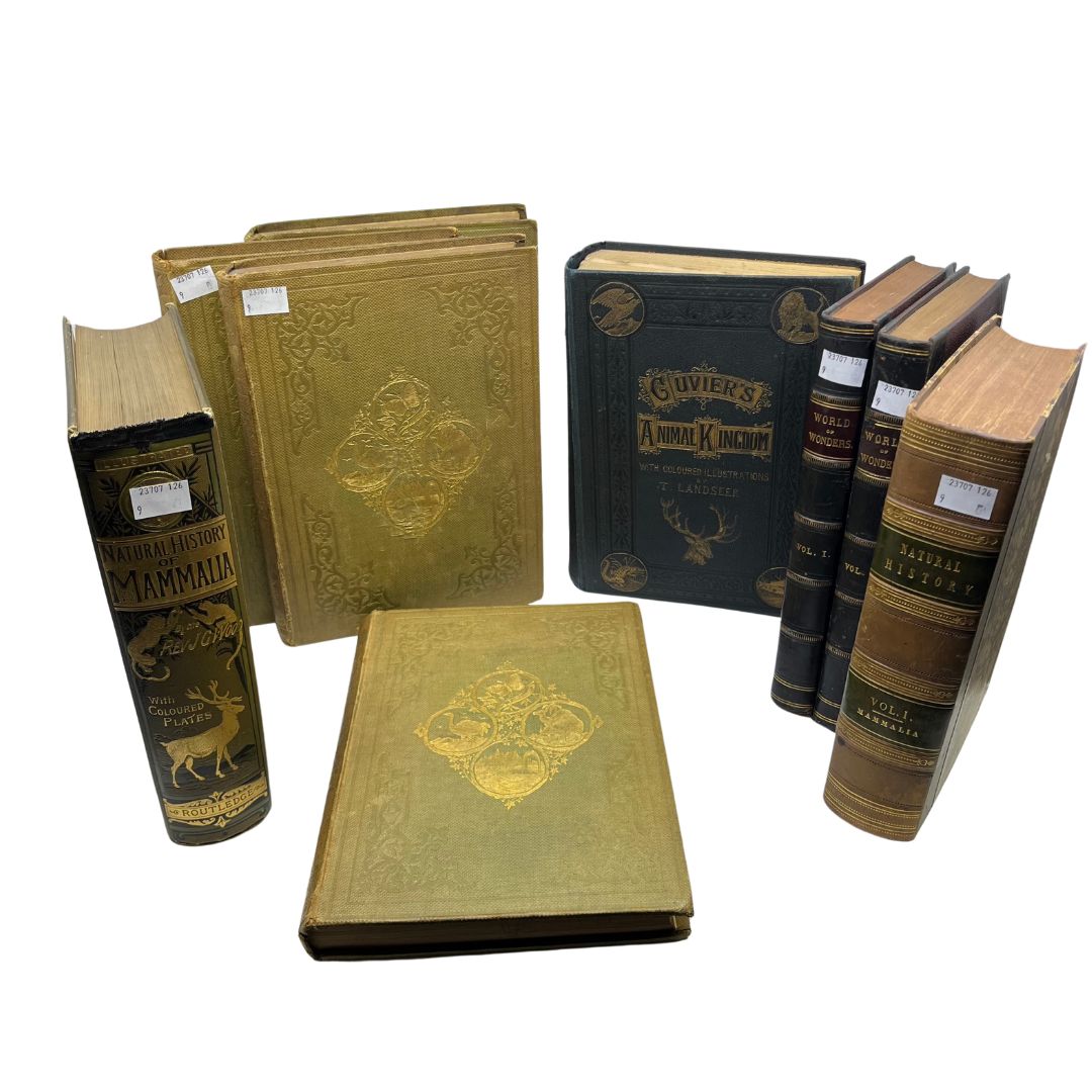 A collection of Natural History books to include a 19th Century four book volume of Cassell's