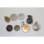 Various selection of commemorative medallion including Queen Victoria, George VI, Elizabeth 1914