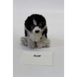 A Steiff Masterpiece Australian Shepherd Puppy, Jackie, with certification and in original box