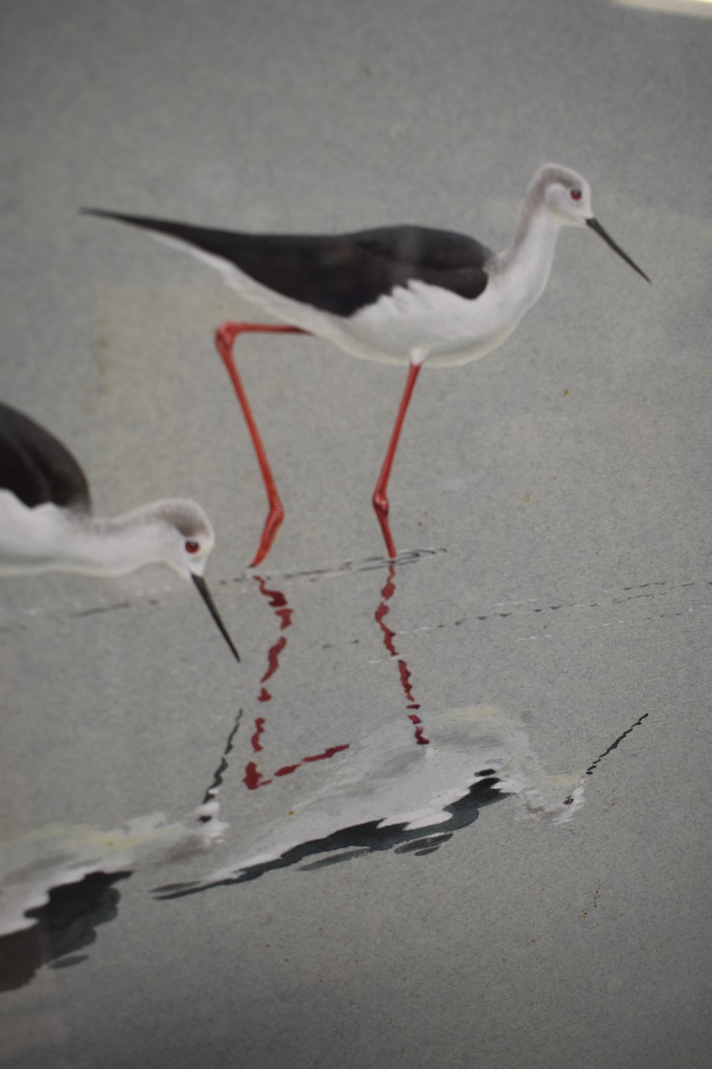 A signed original painting by Robert Gillmor (1936-2022) of black-winged stilts - a prize from the - Image 2 of 3