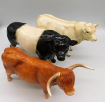Three cattle figures 1 Beswick Charolais bull , 1 Beswick highland cow with 1 other unmarked figure