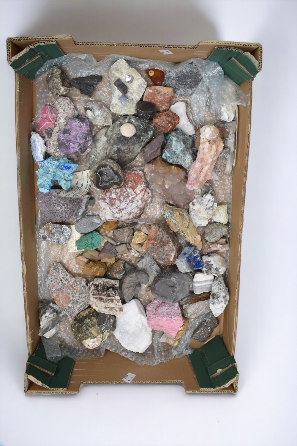 A collection of various rocks and minerals including ammonite, rhodochrosite, druzy, kyanite,