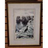A framed, signed, original watercolour by Frederick J Watson (20th century) of seabirds