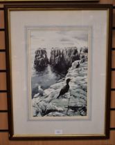 A framed, signed, original watercolour by Frederick J Watson (20th century) of seabirds